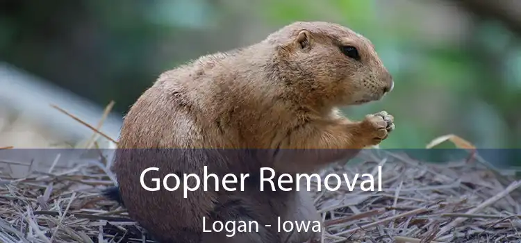 Gopher Removal Logan - Iowa