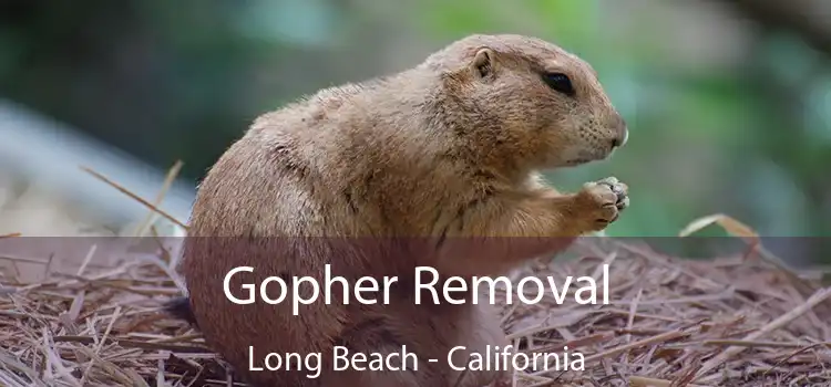 Gopher Removal Long Beach - California