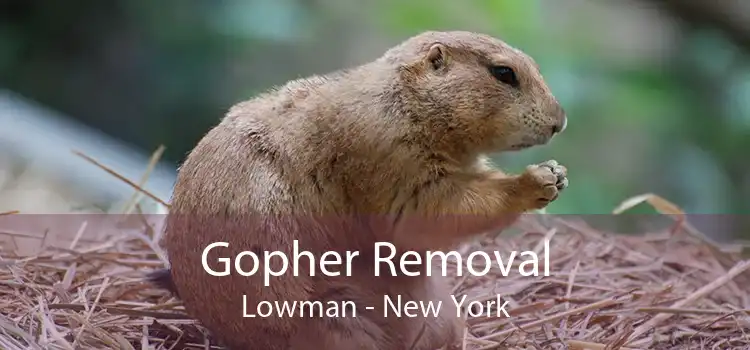 Gopher Removal Lowman - New York