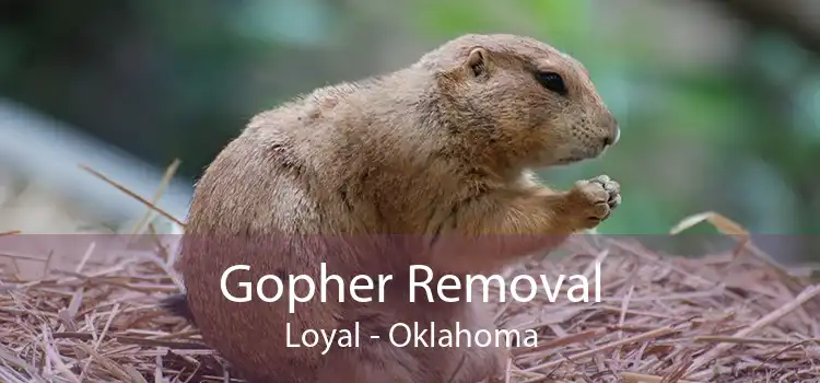 Gopher Removal Loyal - Oklahoma