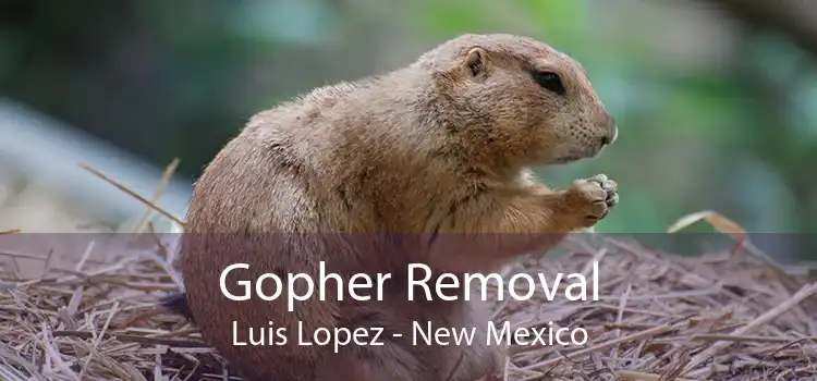 Gopher Removal Luis Lopez - New Mexico