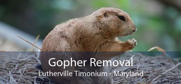 Gopher Removal Lutherville Timonium - Maryland