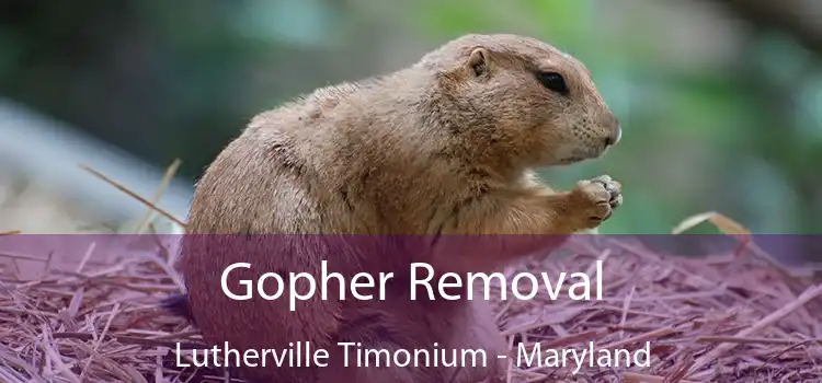Gopher Removal Lutherville Timonium - Maryland