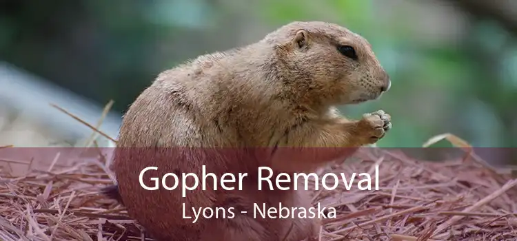 Gopher Removal Lyons - Nebraska