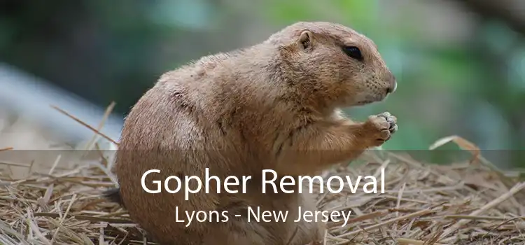 Gopher Removal Lyons - New Jersey