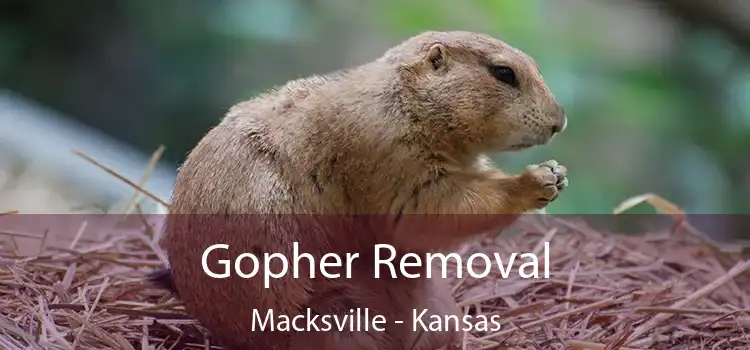 Gopher Removal Macksville - Kansas