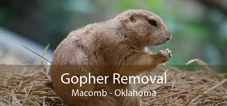 Gopher Removal Macomb - Oklahoma