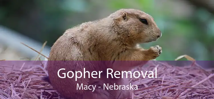 Gopher Removal Macy - Nebraska