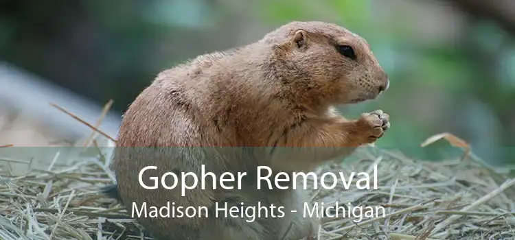 Gopher Removal Madison Heights - Michigan