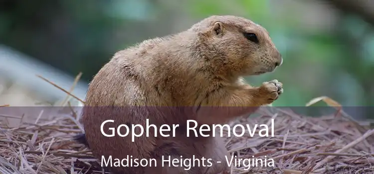 Gopher Removal Madison Heights - Virginia