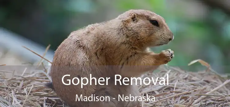 Gopher Removal Madison - Nebraska