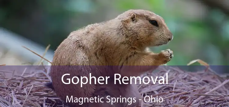 Gopher Removal Magnetic Springs - Ohio