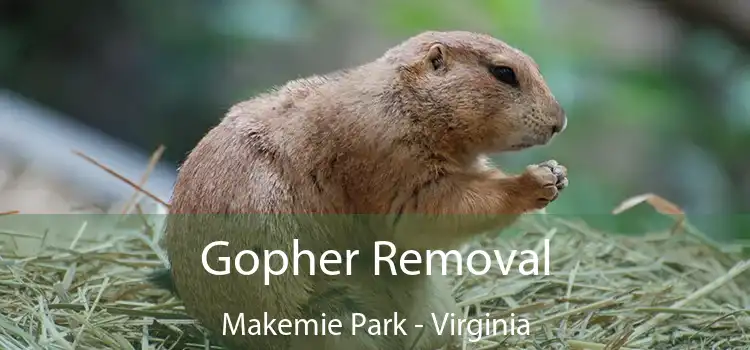 Gopher Removal Makemie Park - Virginia