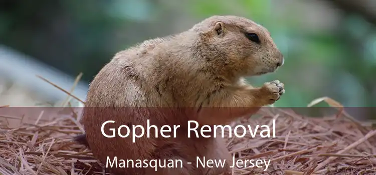 Gopher Removal Manasquan - New Jersey