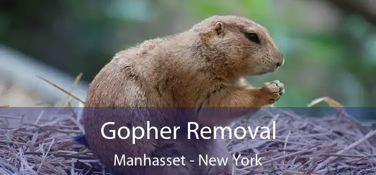 Gopher Removal Manhasset - New York