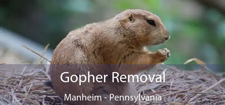 Gopher Removal Manheim - Pennsylvania