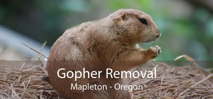 Gopher Removal Mapleton - Oregon