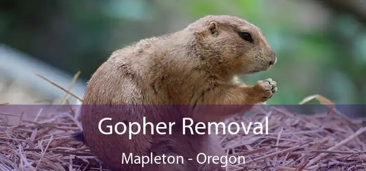 Gopher Removal Mapleton - Oregon