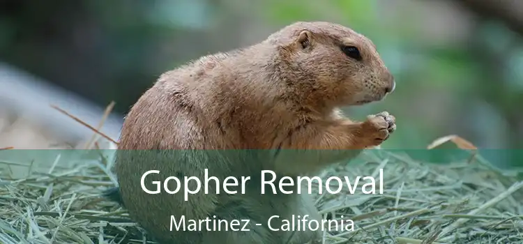 Gopher Removal Martinez - California