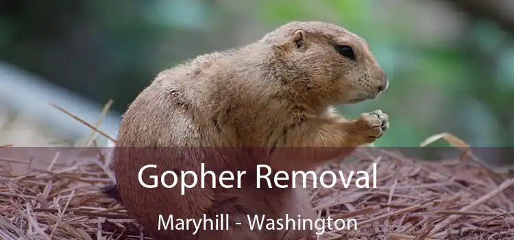 Gopher Removal Maryhill - Washington