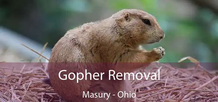 Gopher Removal Masury - Ohio