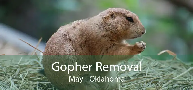 Gopher Removal May - Oklahoma