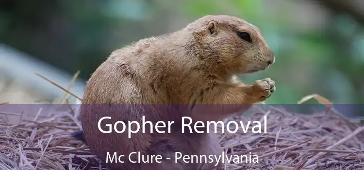 Gopher Removal Mc Clure - Pennsylvania