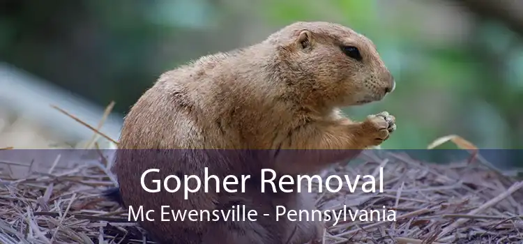 Gopher Removal Mc Ewensville - Pennsylvania