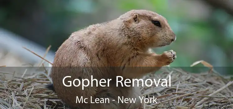 Gopher Removal Mc Lean - New York