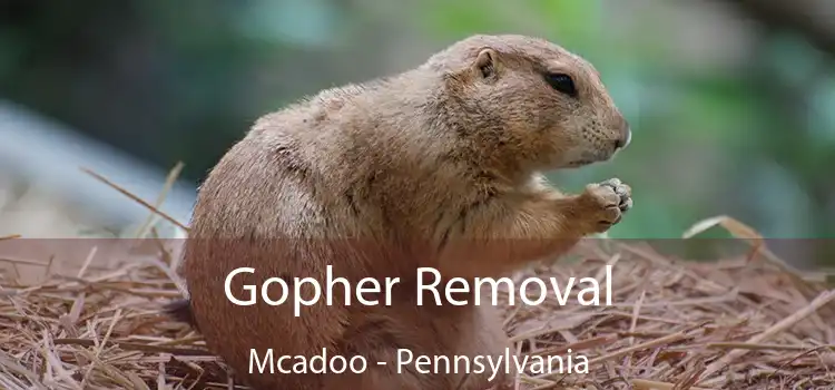 Gopher Removal Mcadoo - Pennsylvania