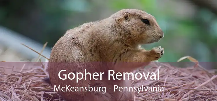 Gopher Removal McKeansburg - Pennsylvania