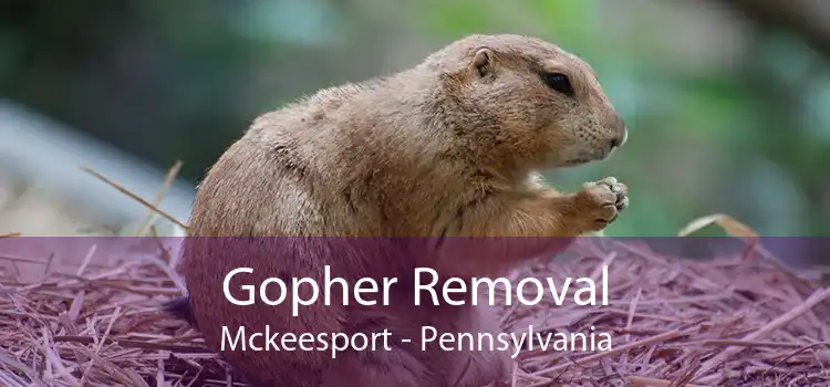 Gopher Removal Mckeesport - Pennsylvania