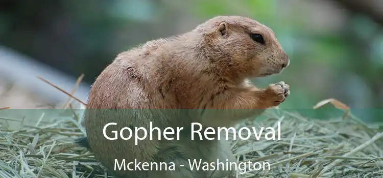 Gopher Removal Mckenna - Washington