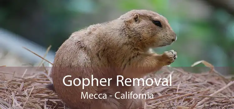 Gopher Removal Mecca - California
