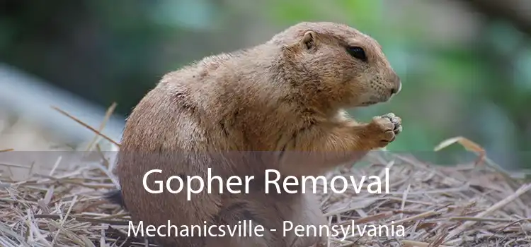 Gopher Removal Mechanicsville - Pennsylvania