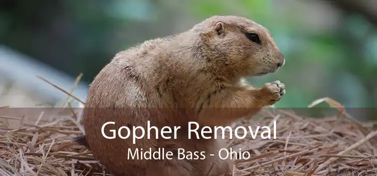 Gopher Removal Middle Bass - Ohio