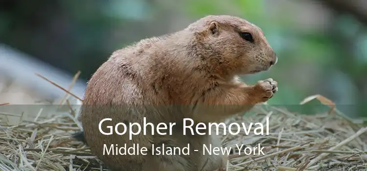 Gopher Removal Middle Island - New York
