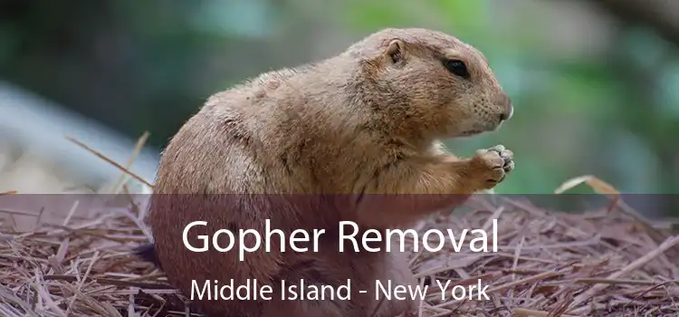 Gopher Removal Middle Island - New York