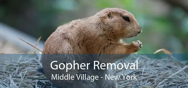 Gopher Removal Middle Village - New York