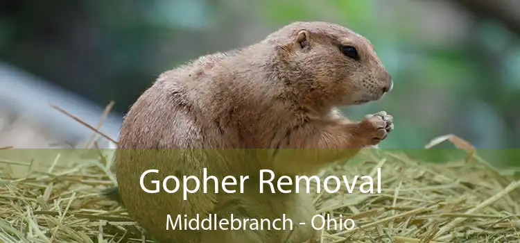 Gopher Removal Middlebranch - Ohio