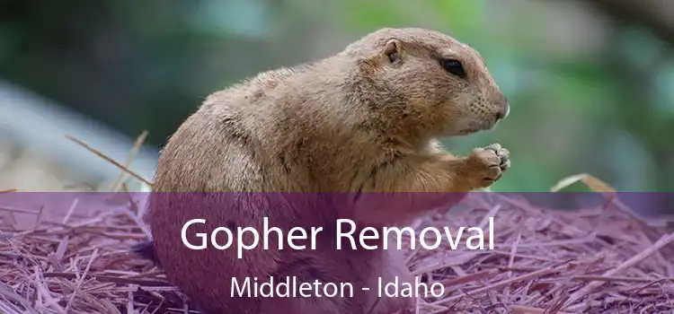 Gopher Removal Middleton - Idaho