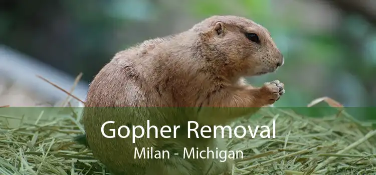 Gopher Removal Milan - Michigan