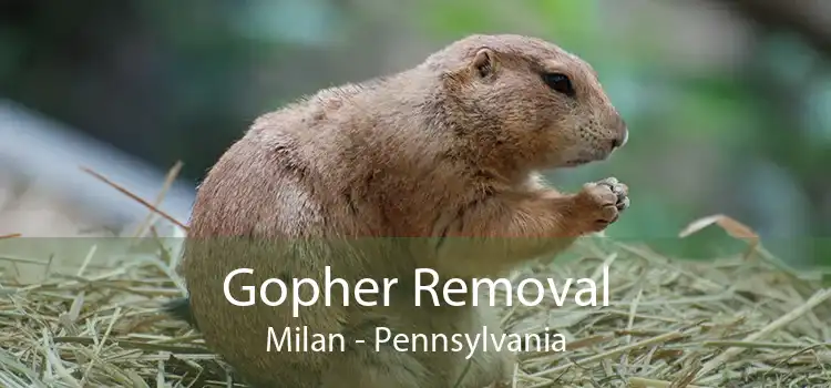 Gopher Removal Milan - Pennsylvania