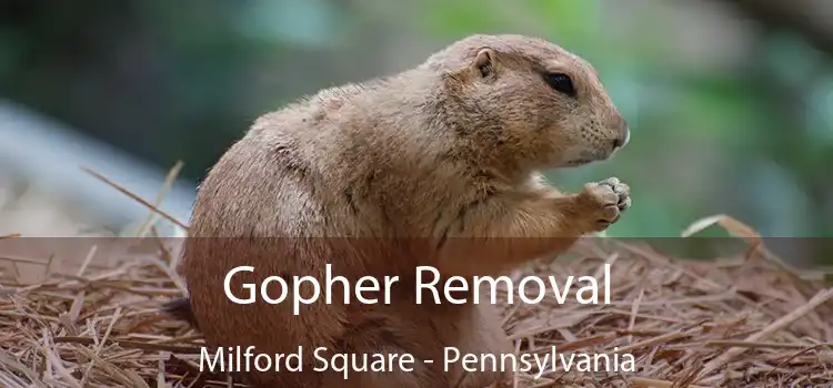 Gopher Removal Milford Square - Pennsylvania