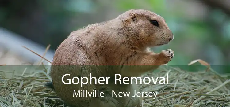 Gopher Removal Millville - New Jersey