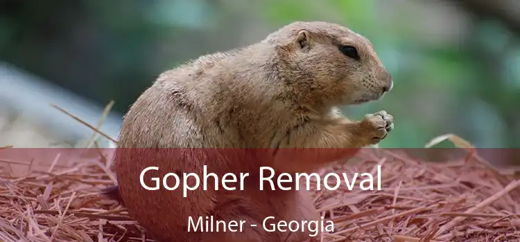 Gopher Removal Milner - Georgia