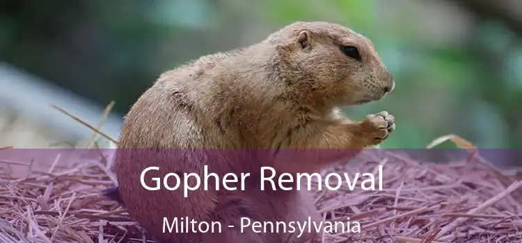 Gopher Removal Milton - Pennsylvania