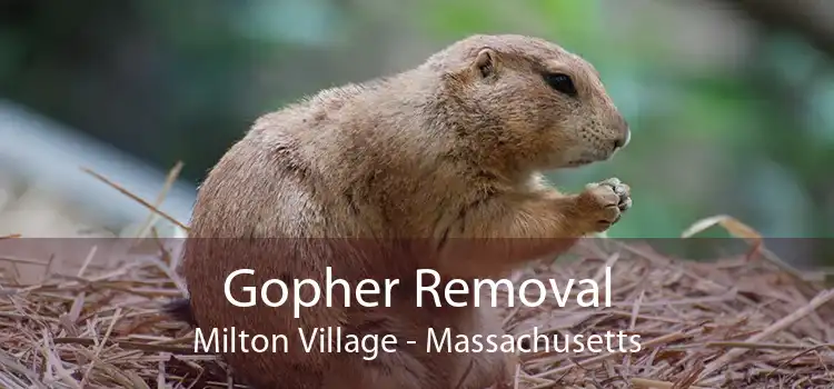 Gopher Removal Milton Village - Massachusetts