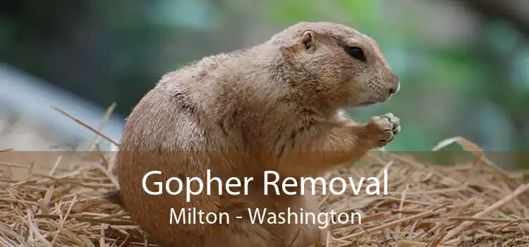 Gopher Removal Milton - Washington