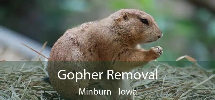 Gopher Removal Minburn - Iowa